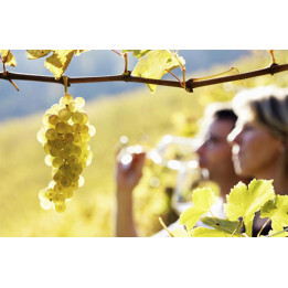 Romantic wine getaway near Saint-Émilion | Vineyard escape for two