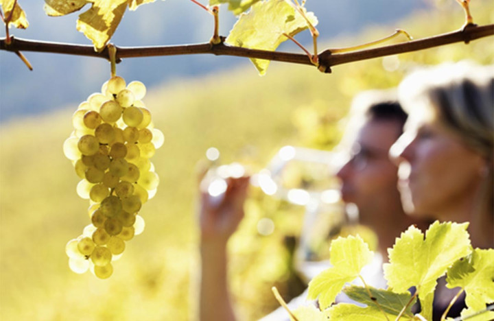 Romantic wine getaway near Saint-Émilion | Vineyard escape for two