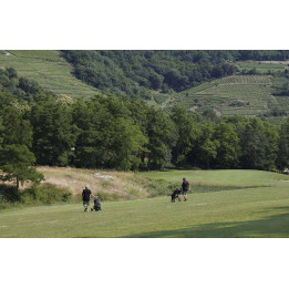 Wine and Golf Alsace