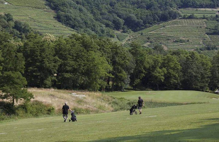 Wine and Golf Alsace