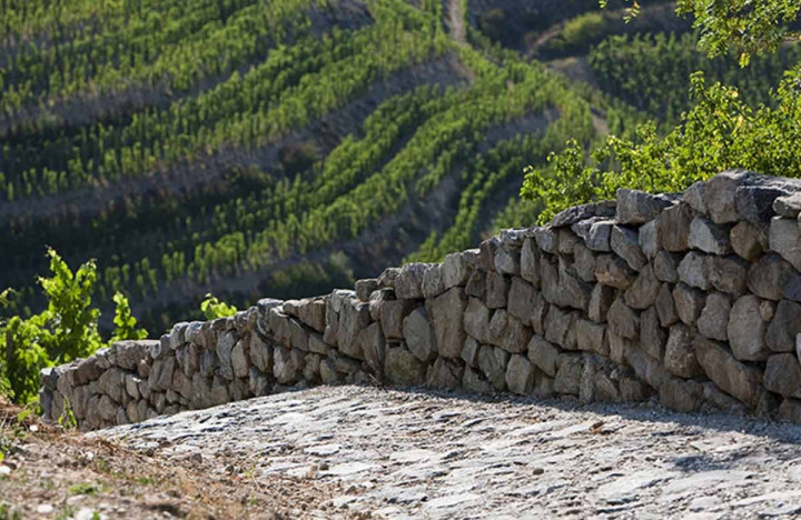 Romantic weekend in the Côte Rôtie region