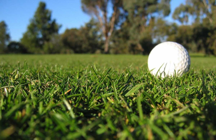 Golf Saint-Emilion - France