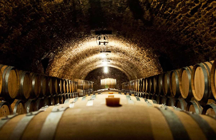 Exclusive tasting of Champagne