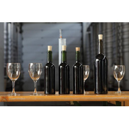 Wine workshop Bordeaux region