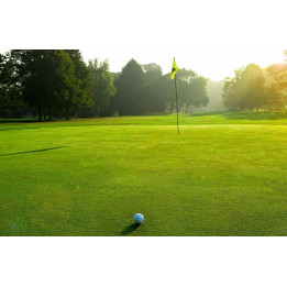 Wine and golf in Champagne