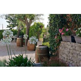 Romantic weekend in Languedoc