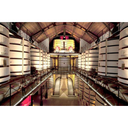 Maison Rémy Martin Tour in Cognac