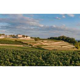 Wine Day in Saint-Emilion and Pomerol