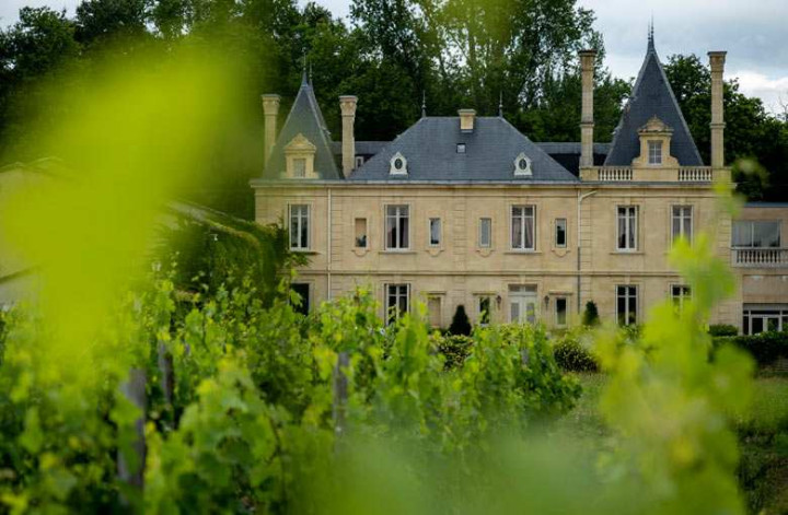 Stay in the Médoc region, around Margaux and Pauillac