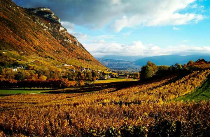 Wine trip in Chambéry - Savoy - France