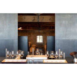 Wine course in Saint-Emilion