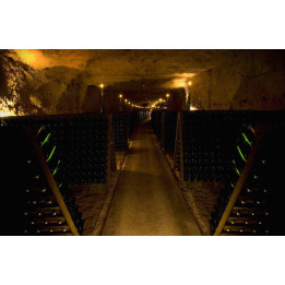 Stay in the Touraine vineyard