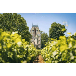 Wine day along the Burgundy Wine Route