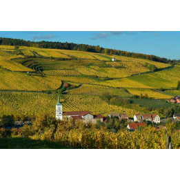 Food and wine tours in Alsace