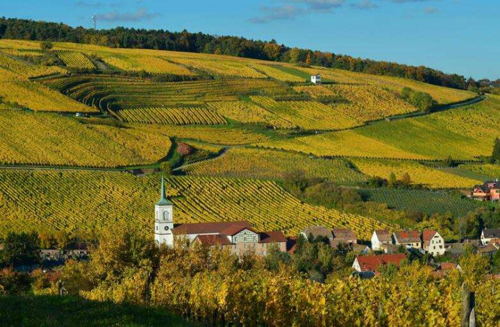 Food and wine tours in Alsace