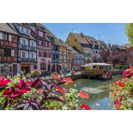 4-day tour of Alsace and its vineyards