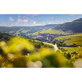 Wine Escape to Beaune - Burgundy 3 day-trip