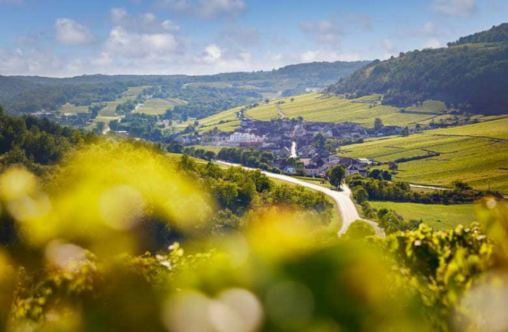 Wine Escape to Beaune - Burgundy 3 day-trip