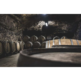 Gastonomy & wine in Bordeaux