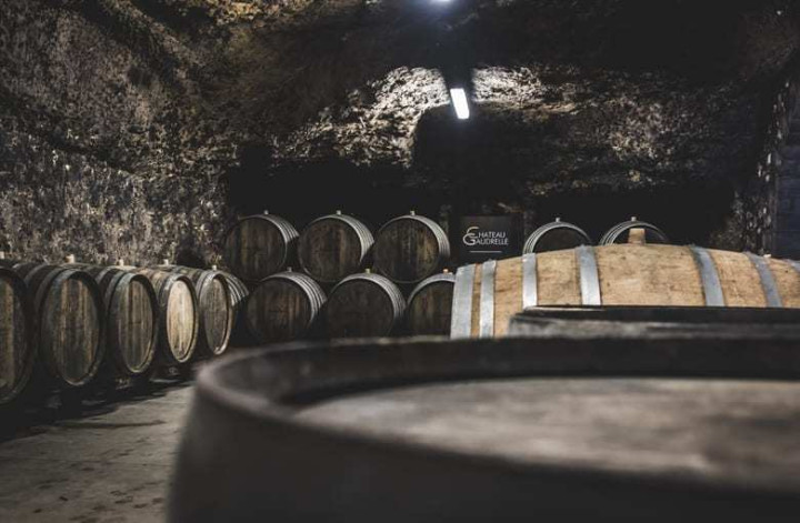 Gastonomy & wine in Bordeaux
