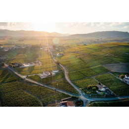 4-day wine and gastronomy tour in Lyon