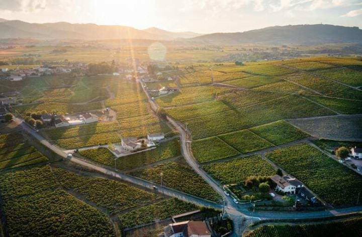 4-day wine and gastronomy tour in Lyon