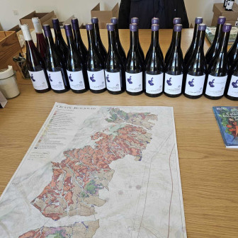 Visites de domaines en Beaujolais
