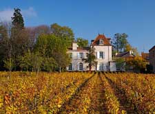 Domaine Comte Sénard - Tasting in Aloxe-Corton