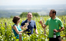 Domaine Joseph Lafarge - Winery close to Macôn