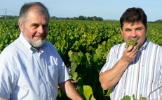 Domaine Raphaël Luneau - Muscadet - France