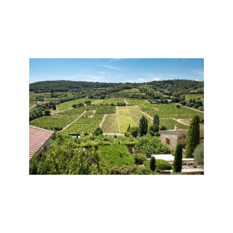 Provence wine tours