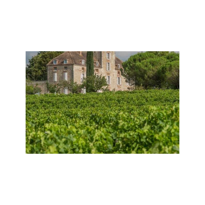 South West France wine tours
