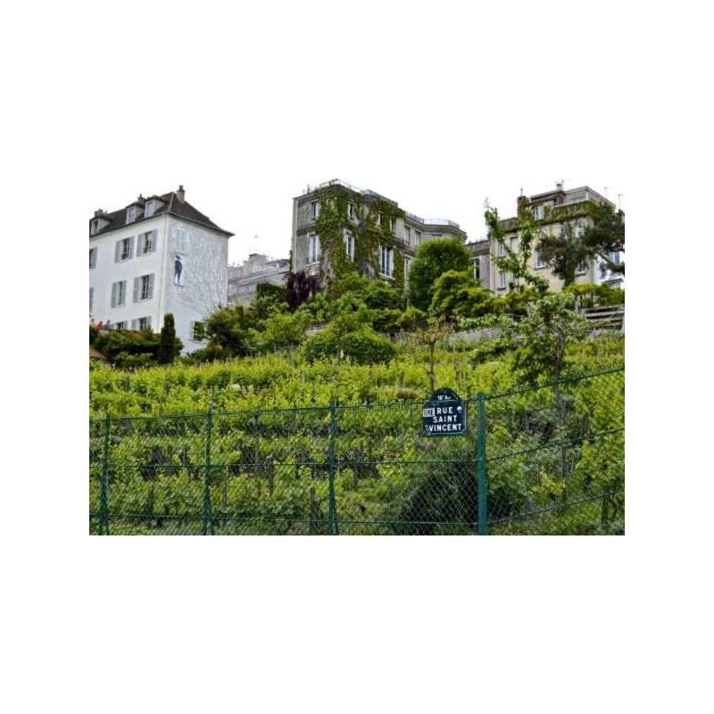 Paris wine events