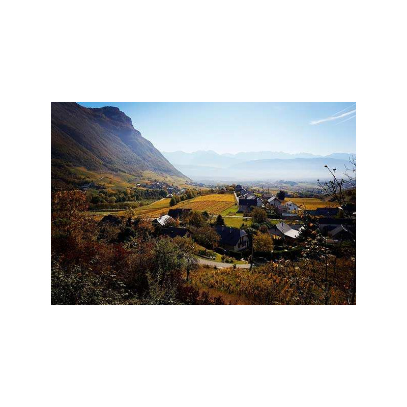 Savoie wine stay