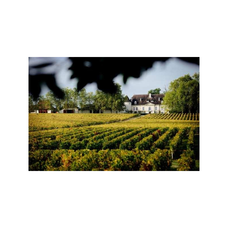 Bordeaux wine tours