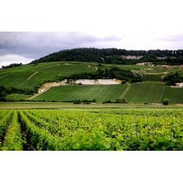 Coffret week-end en Champagne