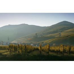 Cadeau Route des vins Alsace