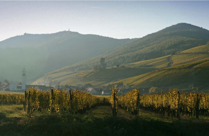 Cadeau Route des vins Alsace