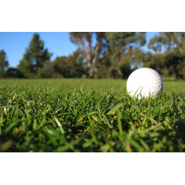 Golf Saint-Emilion