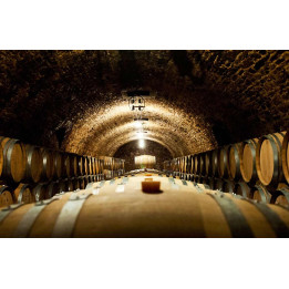Dégustations de Champagnes d'exception