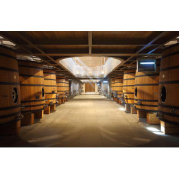 Visite domaine viticole Saint-Emilion