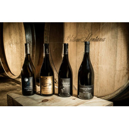 Cours de dégustation Banyuls