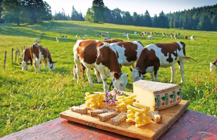 Escapade gastronomique Jura