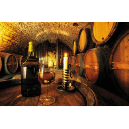 Vins et Gastronomie dans le Jura