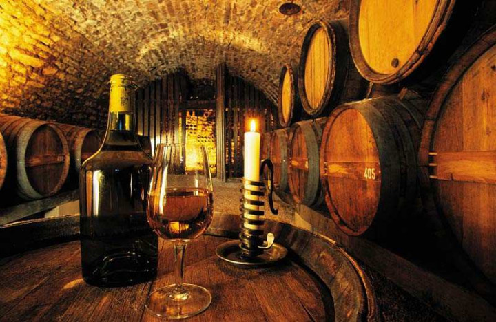 Vins et Gastronomie dans le Jura