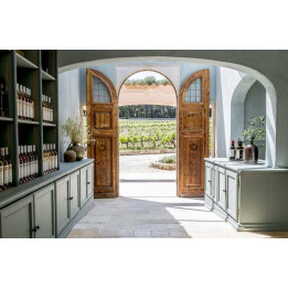 Séjour chez un vigneron en Provence