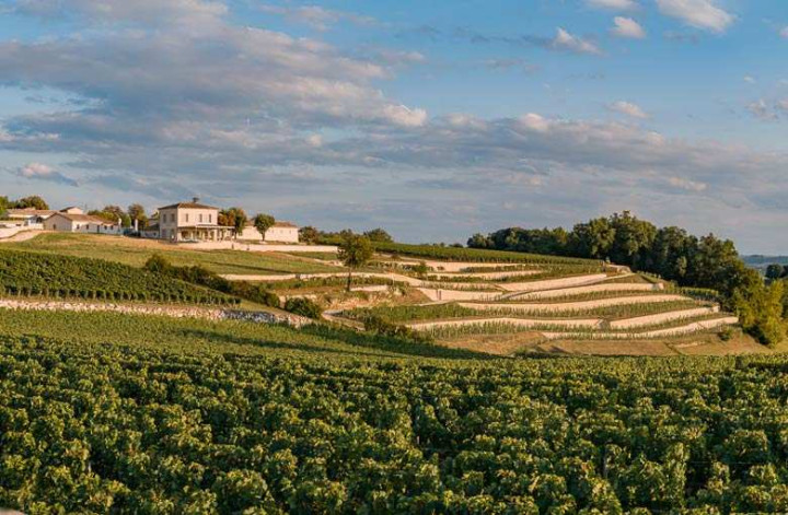 Journée à Saint-Emilion et Pomerol
