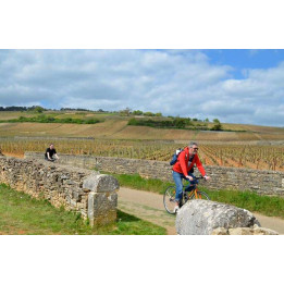 Week-end bio et vélo en Bourgogne