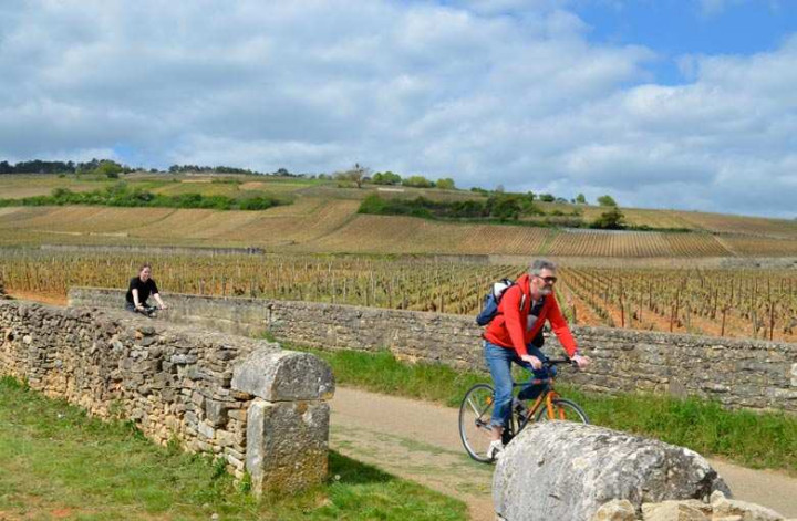 Week-end bio et vélo en Bourgogne