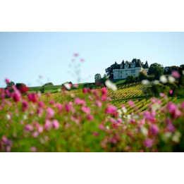 Séjour œnologique Bergerac - Dordogne